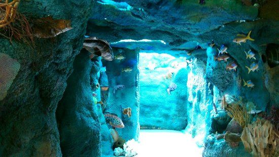 Crane Point Museum and Nature Center